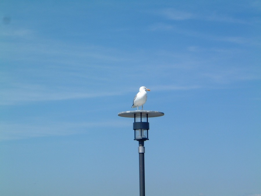 Möwe Lampe Petersen Ostsee Ferienwohnung.JPG